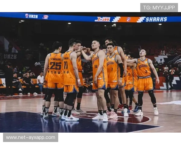 CBA球队战术执行力分析，cba战术分析师