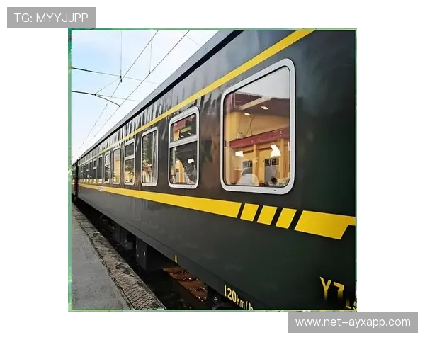 季票球迷为保护女孩在火车上被捅至重伤，森林老板负担费用，火车上的女孩