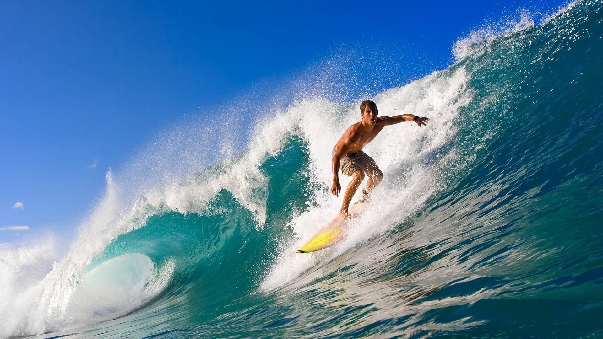 青少年体育人才选拔标准制定,青少年体育事业