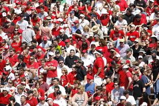 AIYOUXI.COM-高校体育赛事观众体验提升策略研究，体育赛事审美体验